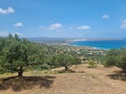 Roussa Ekklisia Kreta, Roussa Ekklisia: Baugrundstück mit Meerblick zu verkaufen Grundstück kaufen